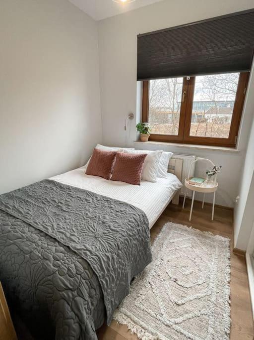 New One Bedroom With Balcony * Krakau